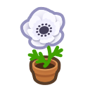 Animal Crossing Items Switch White-windflower Plant