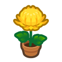 Animal Crossing Items Switch Yellow-mum Plant