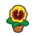 Animal Crossing Items Switch Yellow-pansy Plant