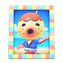 Animal Crossing Items Switch Zucker'S Photo