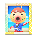 Animal Crossing Items Zucker'S Photo Pop