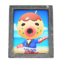 Animal Crossing Items Zucker'S Photo Silver